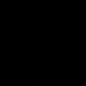 Meet your Posher, Emy